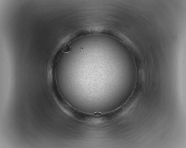 X0000115610638200911171149