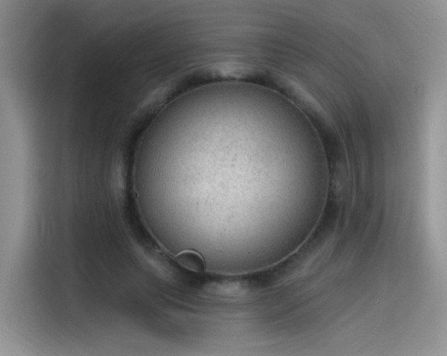 X0000115610639200911171149