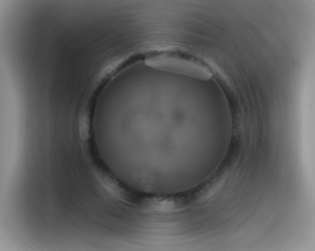 X0000115610640200911171149