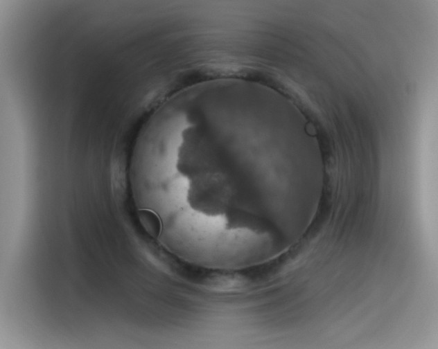 X0000115610642200911171149