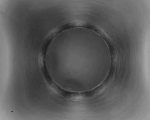 X0000115610643200911171149