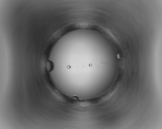 X0000115610645200911171149