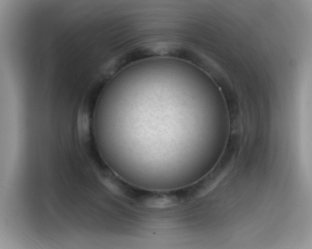 X0000115610646200911171149