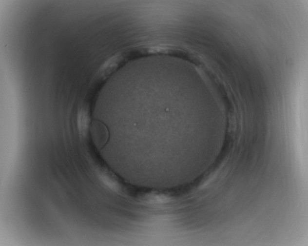 X0000115610648200911171149