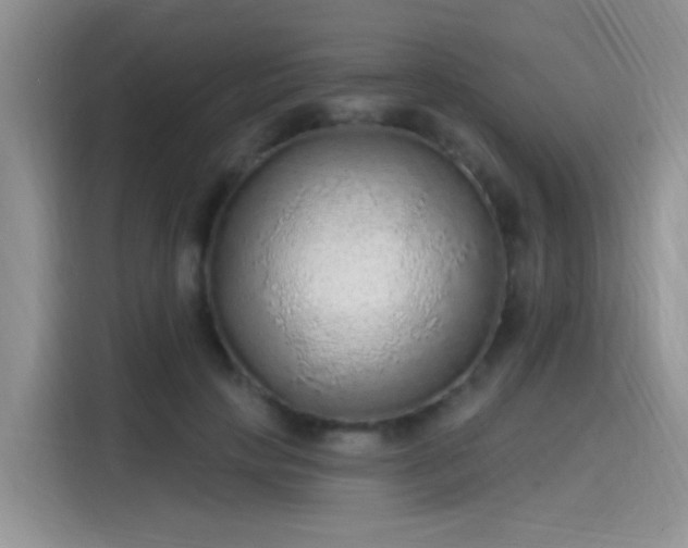 X0000115610649200911171149