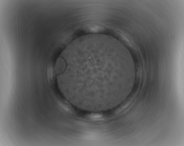 X0000115610651200911171149