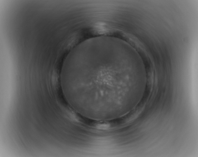 X0000115610653200911171149