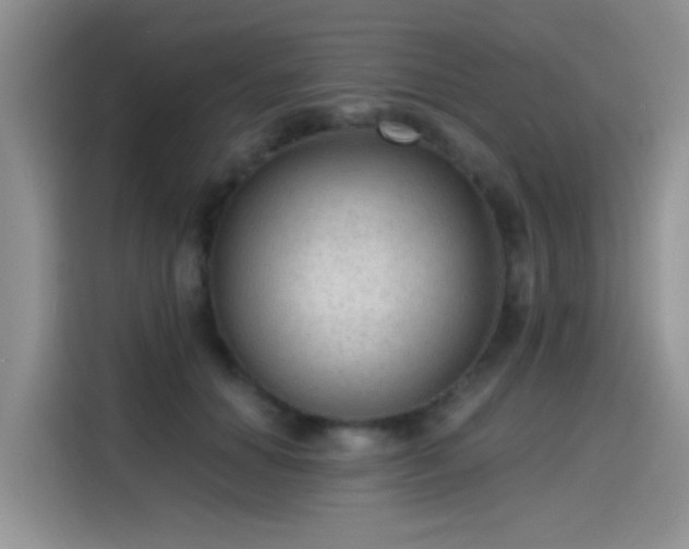 X0000115610654200911171149