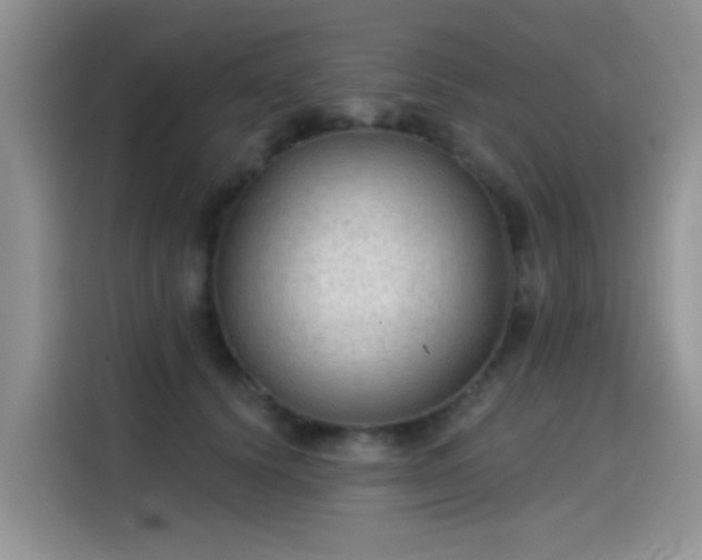 X0000115610656200911171149