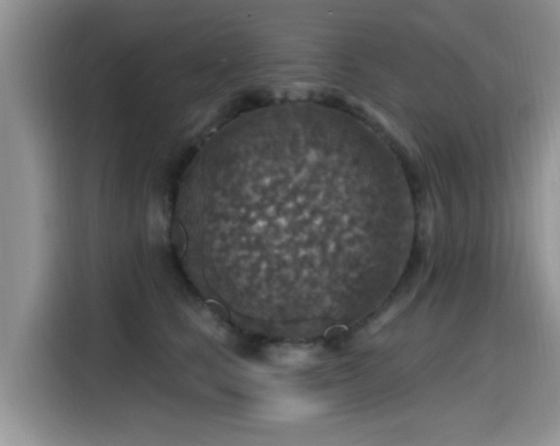 X0000115610661200911171149
