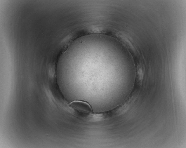 X0000115610665200911171149