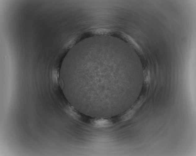 X0000115610669200911171149