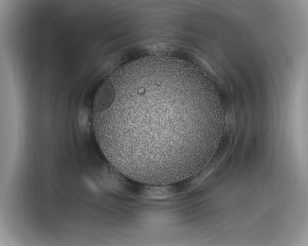 X0000115610671200911171149