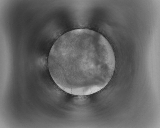 X0000115610672200911171149