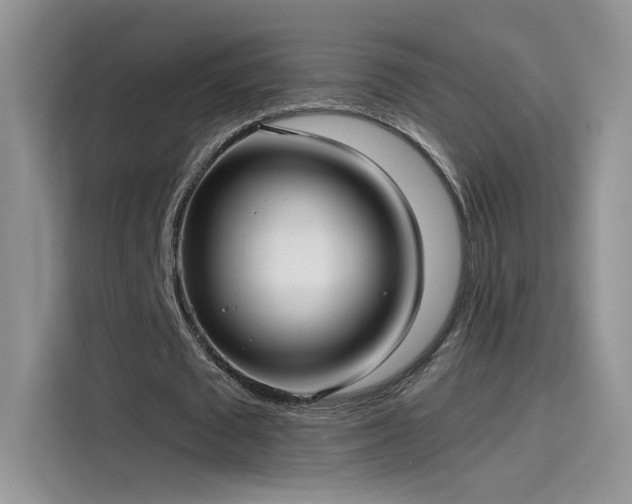 X0000115610673200911171149