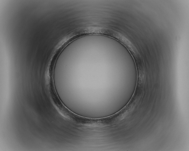 X0000115610674200911171149