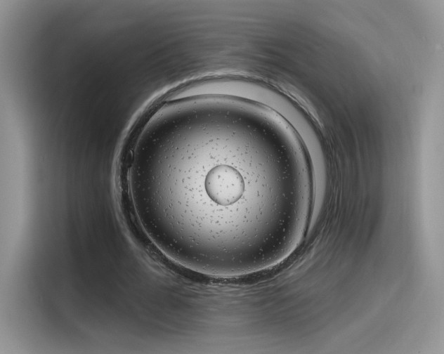X0000115610676200911171149