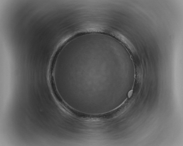 X0000115610677200911171149