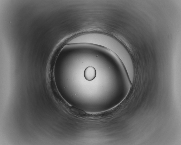 X0000115610680200911171149