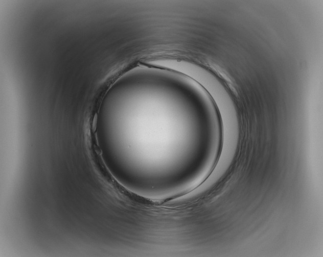 X0000115610681200911171149