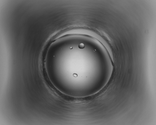 X0000115610684200911171148