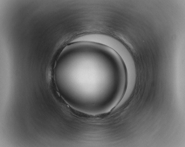 X0000115610685200911171148