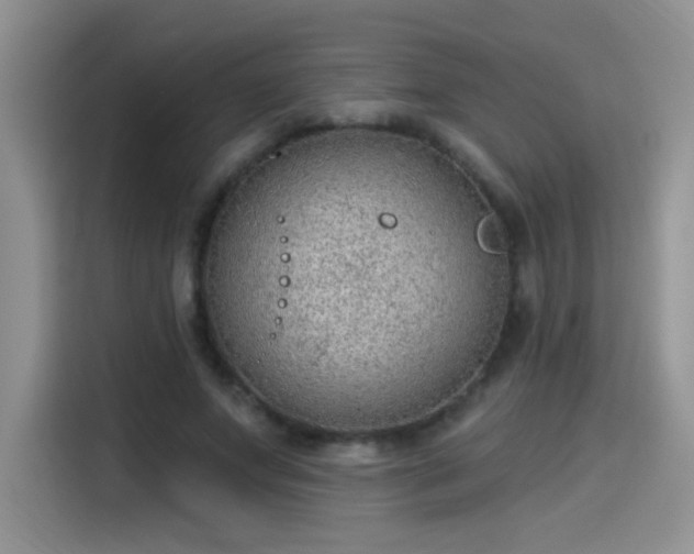 X0000115610687200911171148