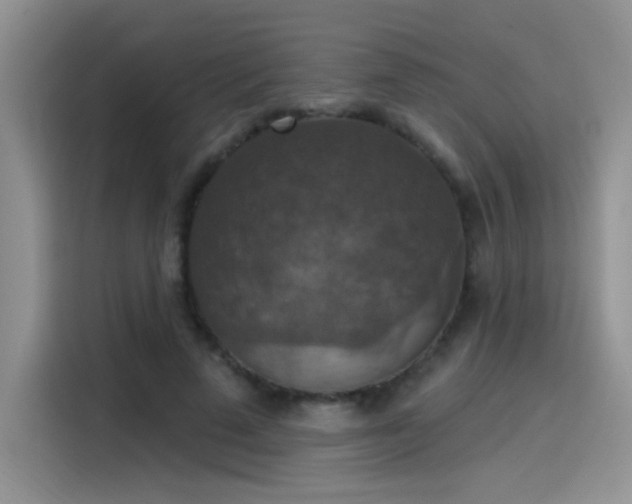 X0000115610689200911171148