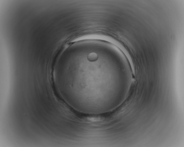 X0000115610693200911171148