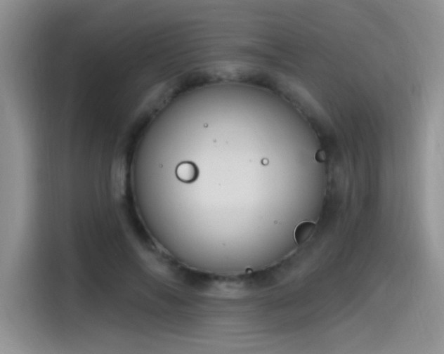 X0000115610694200911171148