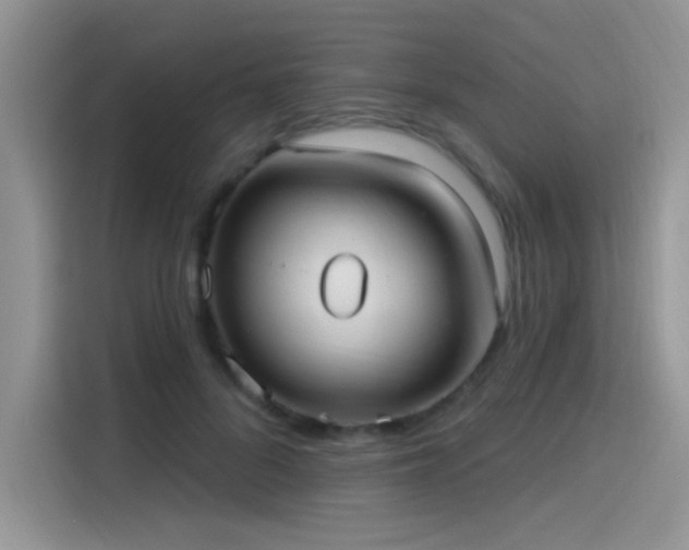 X0000115610696200911171148