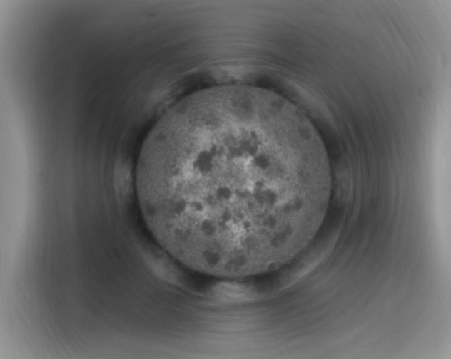 X0000115610699200911171148