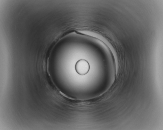 X0000115610700200911171148