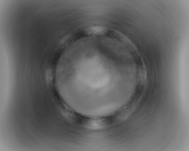 X0000115610701200911171148