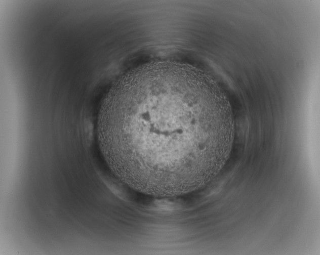 X0000115610703200911171148