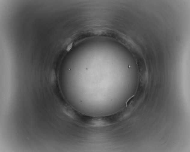 X0000115610704200911171148
