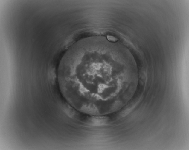 X0000115610707200911171148