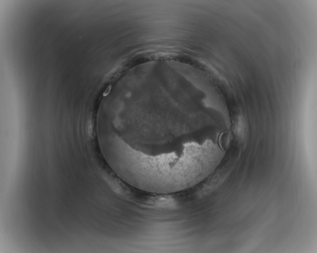 X0000115610715200911171148