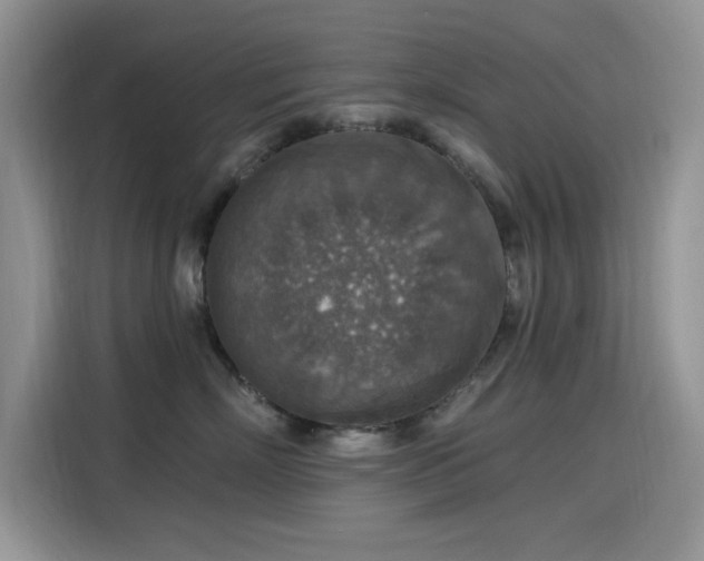 X0000115610718200911171148