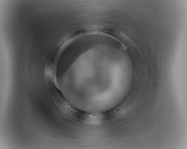 X0000115610720200911171148