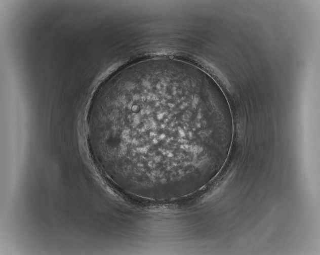 X0000115610721200911171147