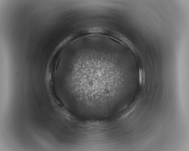 X0000115610723200911171147