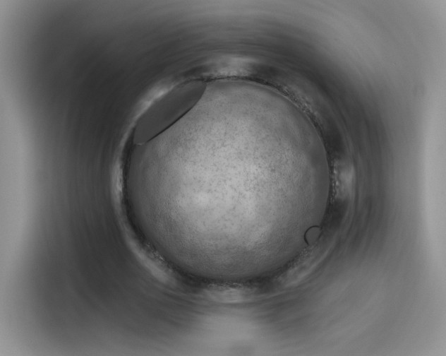 X0000115610726200911171147