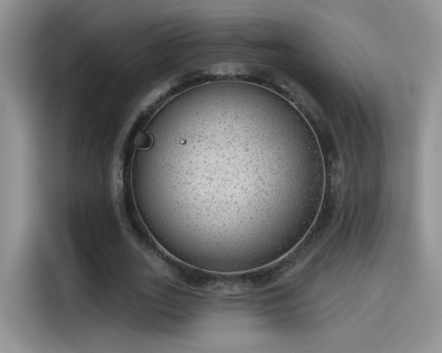 X0000115610727200911171147