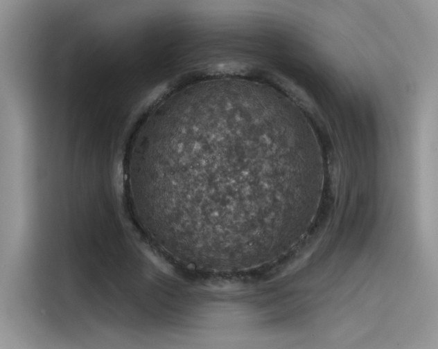 X0000115610729200911171147