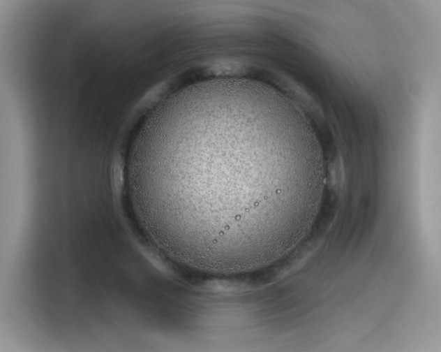 X0000115610733200911171148