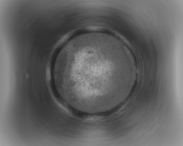 X0000115610734200911171148