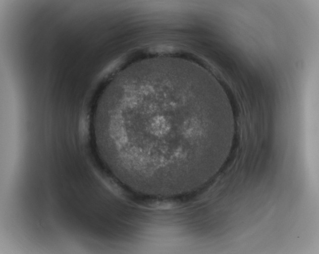 X0000115610735200911171148
