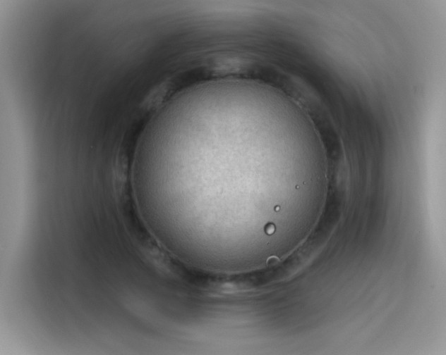 X0000115610737200911171148