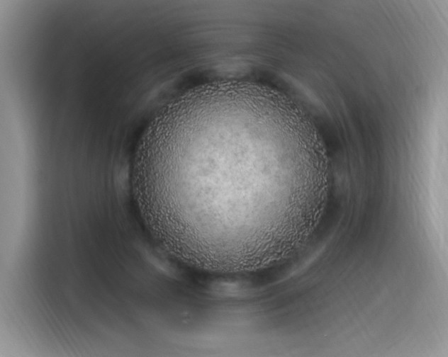 X0000115610745200911171148